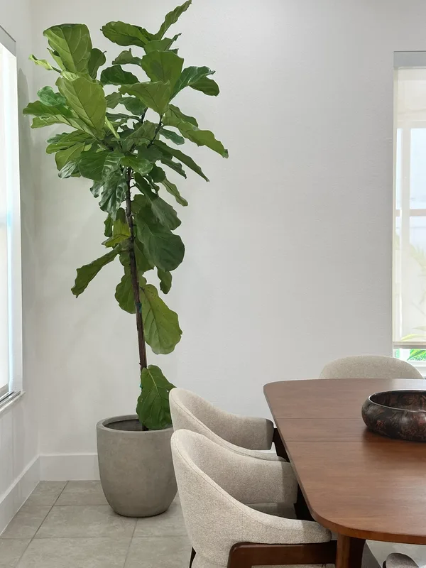 Full Home Renovation, Miami, Florida: photo 6 by DALOP Design