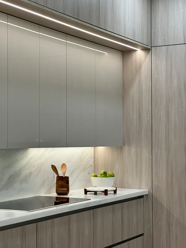 Full Home Renovation, Miami, Florida: photo 7 by DALOP Design